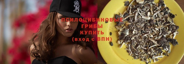 СК Михайлов