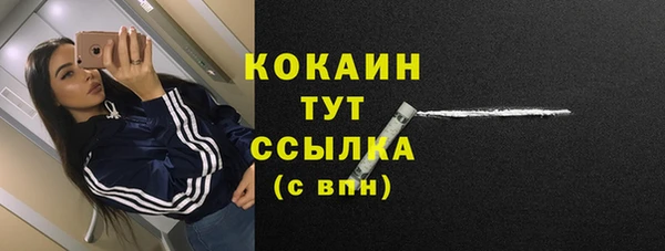 СК Михайлов