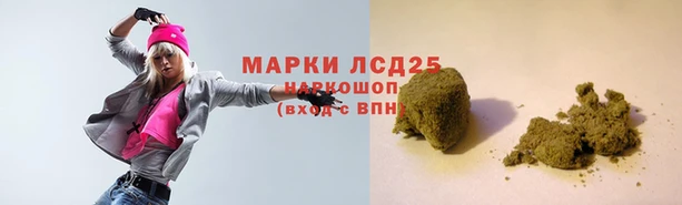 СК Михайлов