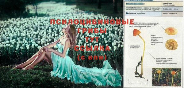 эйфоретик Михайловка